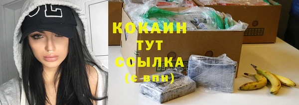 соль ск Абдулино