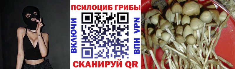 Псилоцибиновые грибы MAGIC MUSHROOMS Анадырь